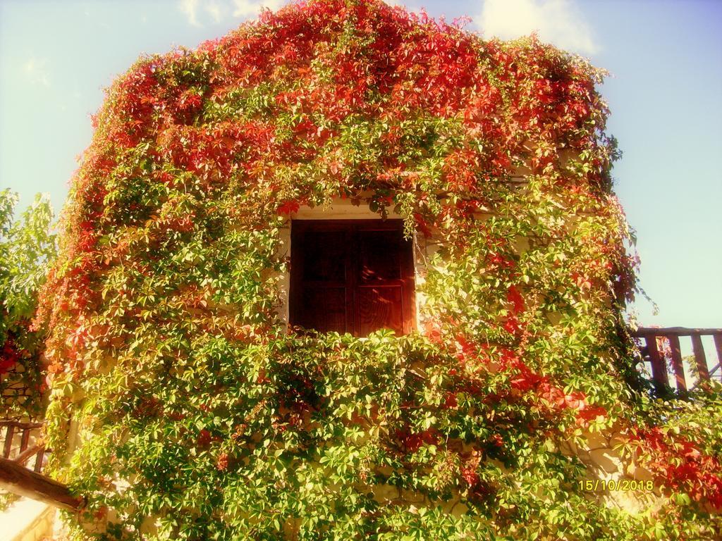 منزل الضيف Douliana  في Manoli'S House الغرفة الصورة